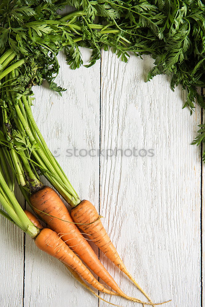 Similar – Möhre schön Gesundheit