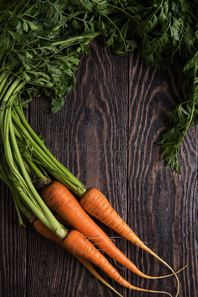 Similar – Cut into round slices of a big fresh carrots