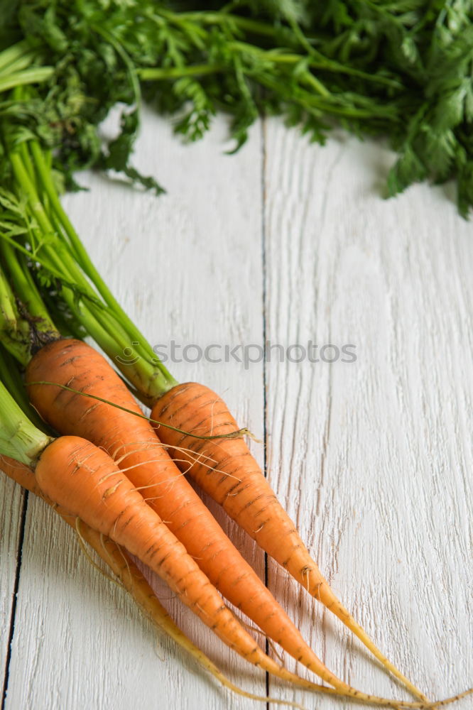 Similar – Image, Stock Photo vitamin A Food Vegetable