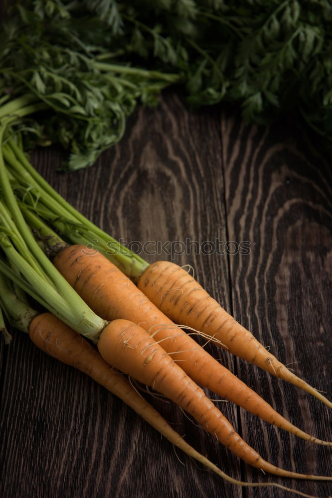 Similar – Seasonal vegetables on a dark background