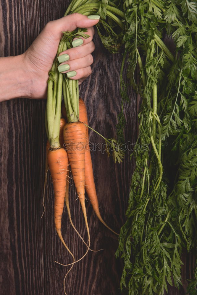 Similar – Image, Stock Photo Freshly gerntet Vegetable