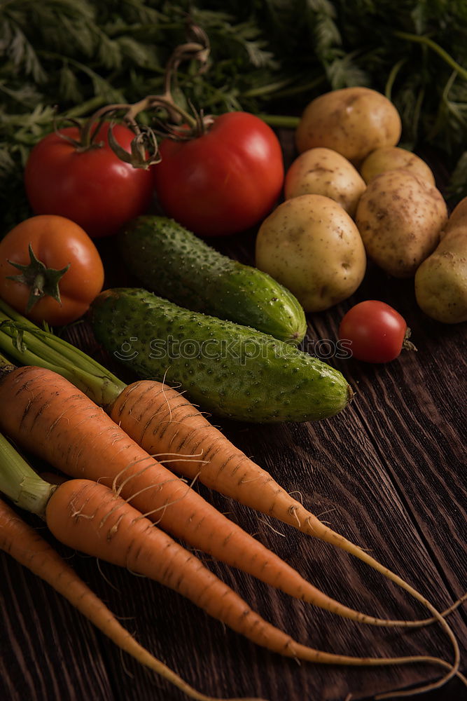 Seasonal vegetables on a dark background