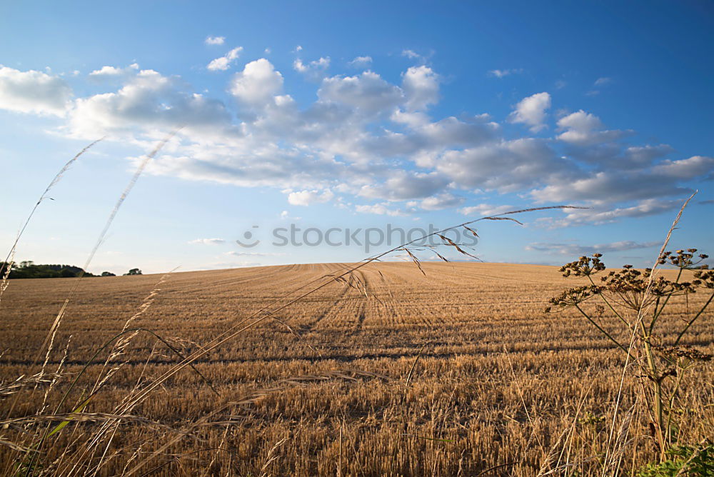 Similar – Ernte 2005 Stroh Feld