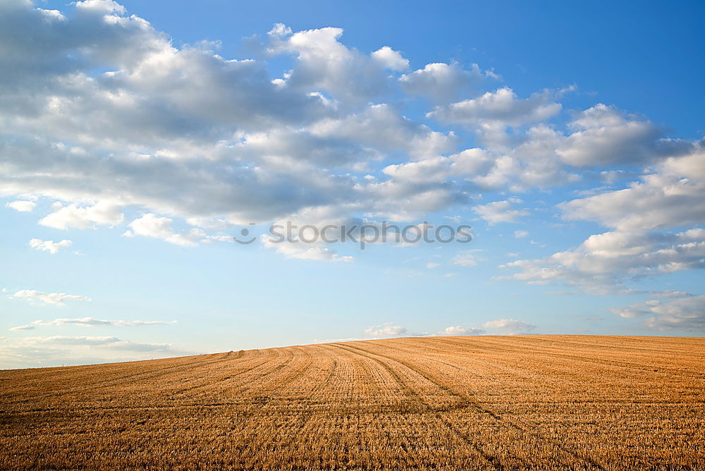 Similar – Wolken-Reich Ernte Weizen