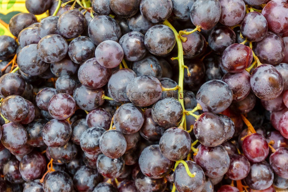 Similar – Image, Stock Photo Red grapes on an old wooden table close up