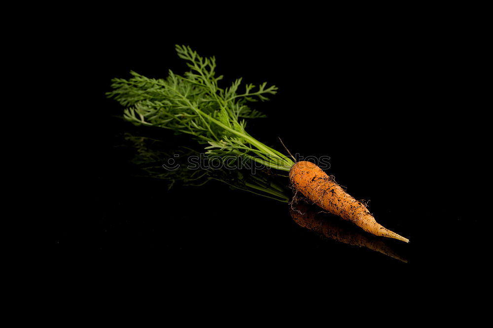 Similar – carrot Food Nutrition