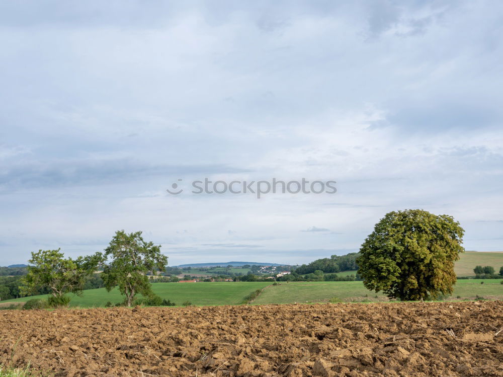 Similar – Image, Stock Photo CHAMANSÜLZ | arable land