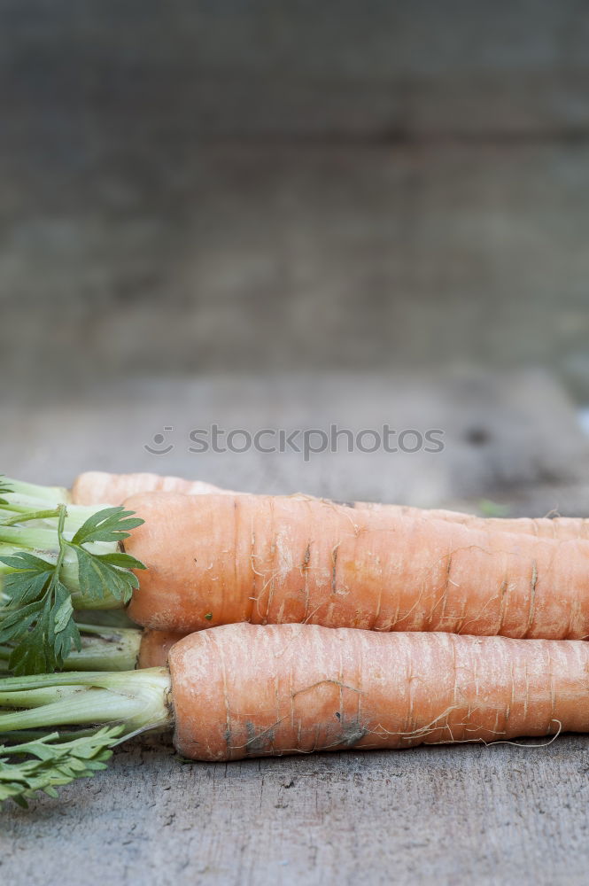 Similar – Image, Stock Photo garden vegetables Food