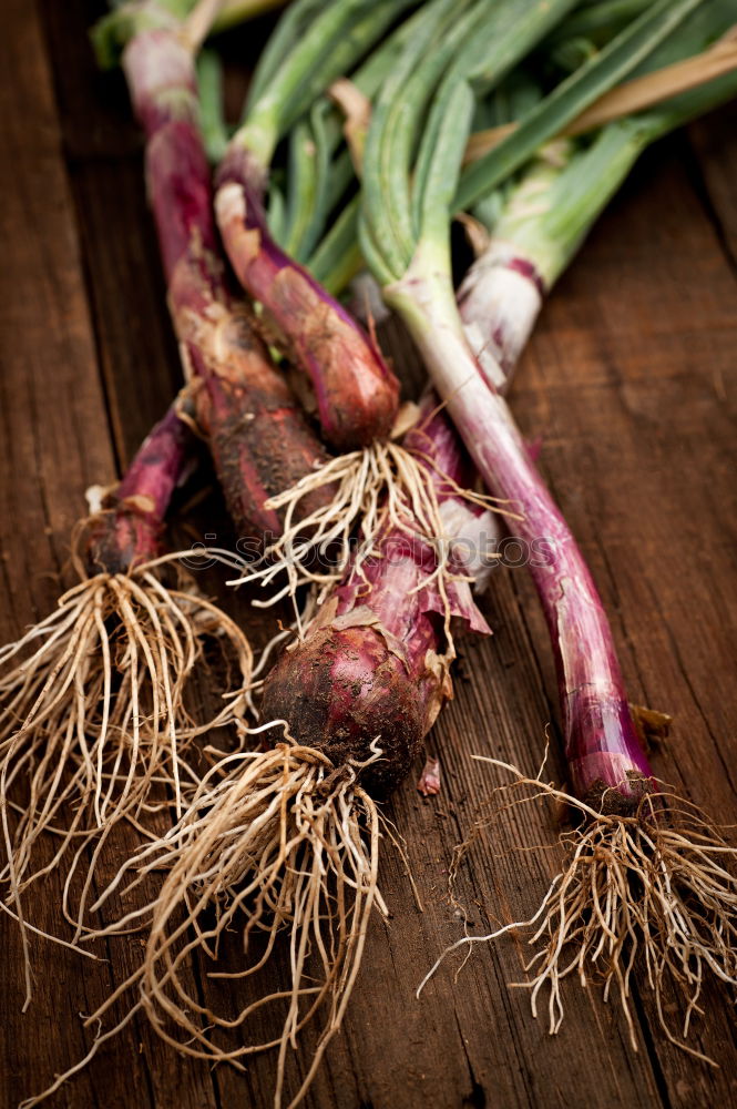 Similar – Image, Stock Photo Fresh beetroot in different varieties on an old wooden table