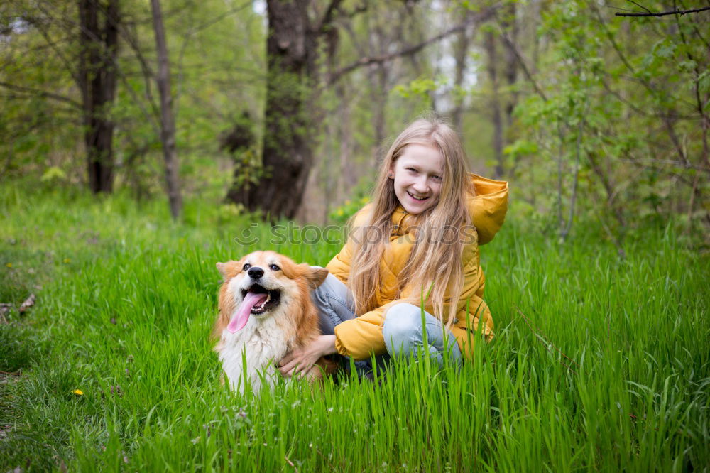 Similar – Image, Stock Photo Portrait of young blond Labrador with young tall beautiful woman with long dark curls in back light forest