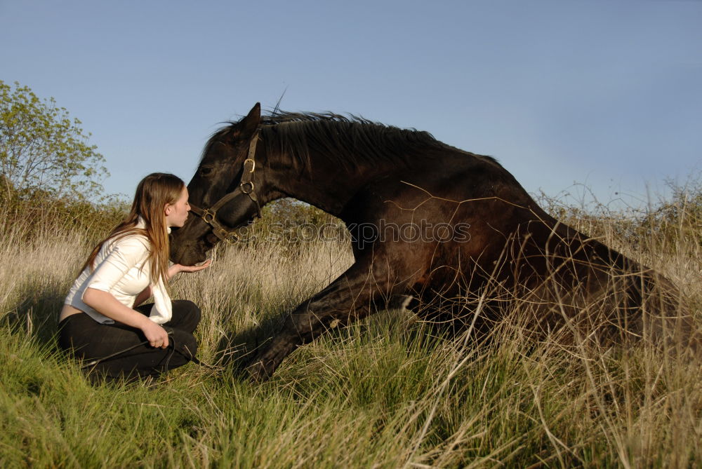 Similar – Beautiful little girl and her dog playing at sunset together