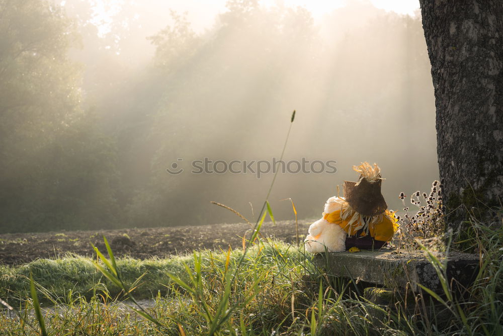 Similar – Image, Stock Photo Shift boy | Dream the day away II