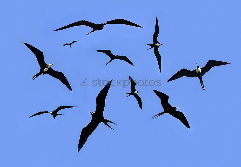 Similar – Image, Stock Photo straight ahead