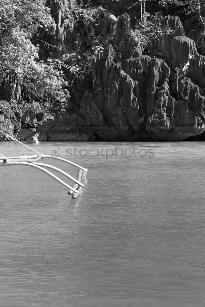 Similar – Fishing in Vieira Leiria 18