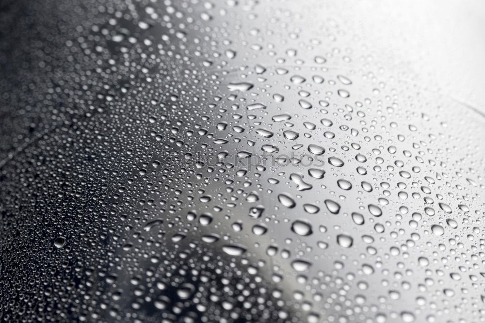 Similar – dew drops Window Wet Cold