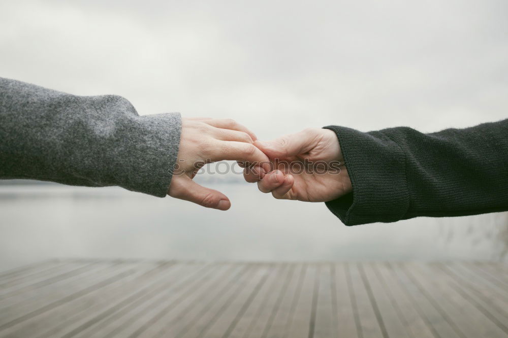 Similar – Image, Stock Photo We belong together