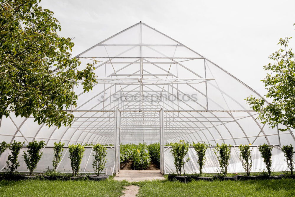 Similar – Foto Bild gartenarbeit Garten