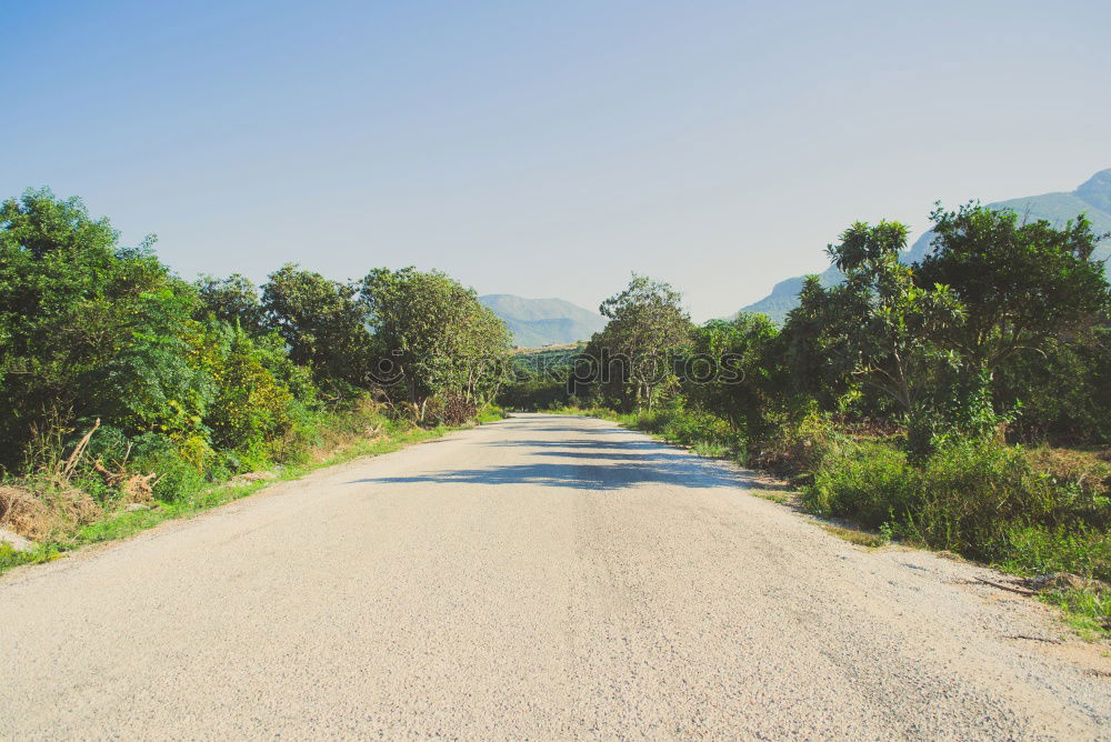 Similar – Image, Stock Photo Racing cyclist in sportswear rides his bike on an Italian country road