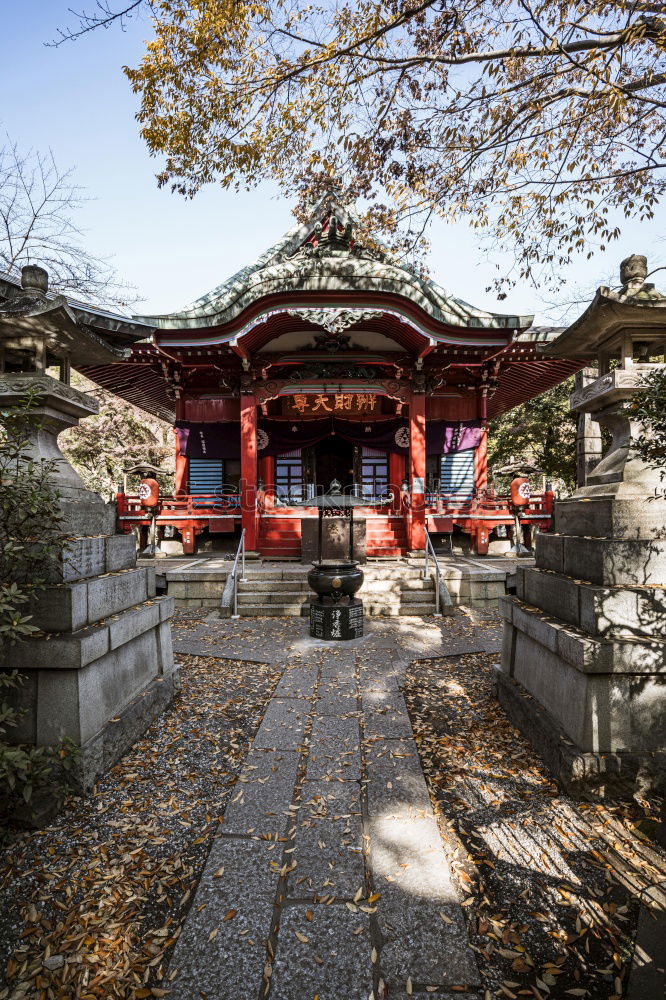 Similar – Image, Stock Photo temple Japan Temple Zen