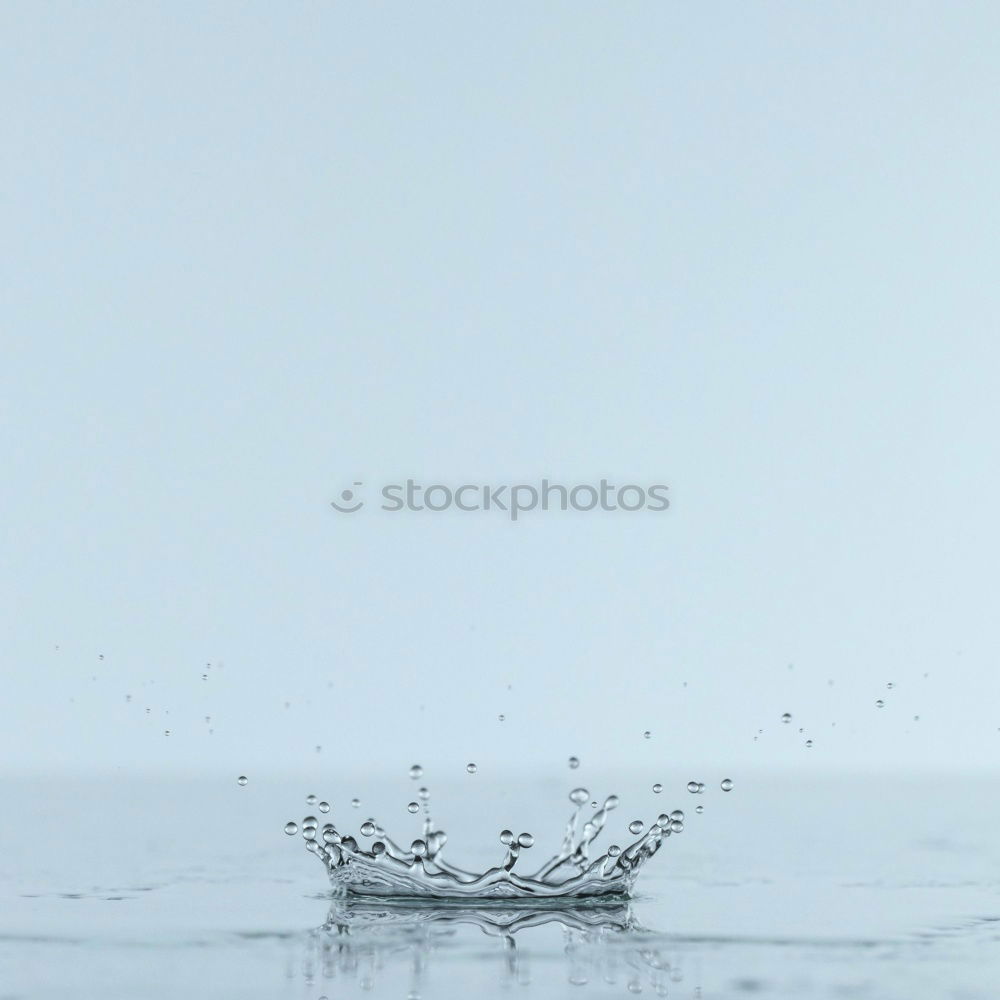 Similar – Image, Stock Photo Mist crow Industry Winter