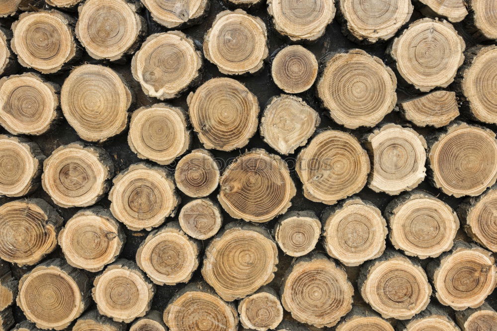 Similar – stack of wood Wood