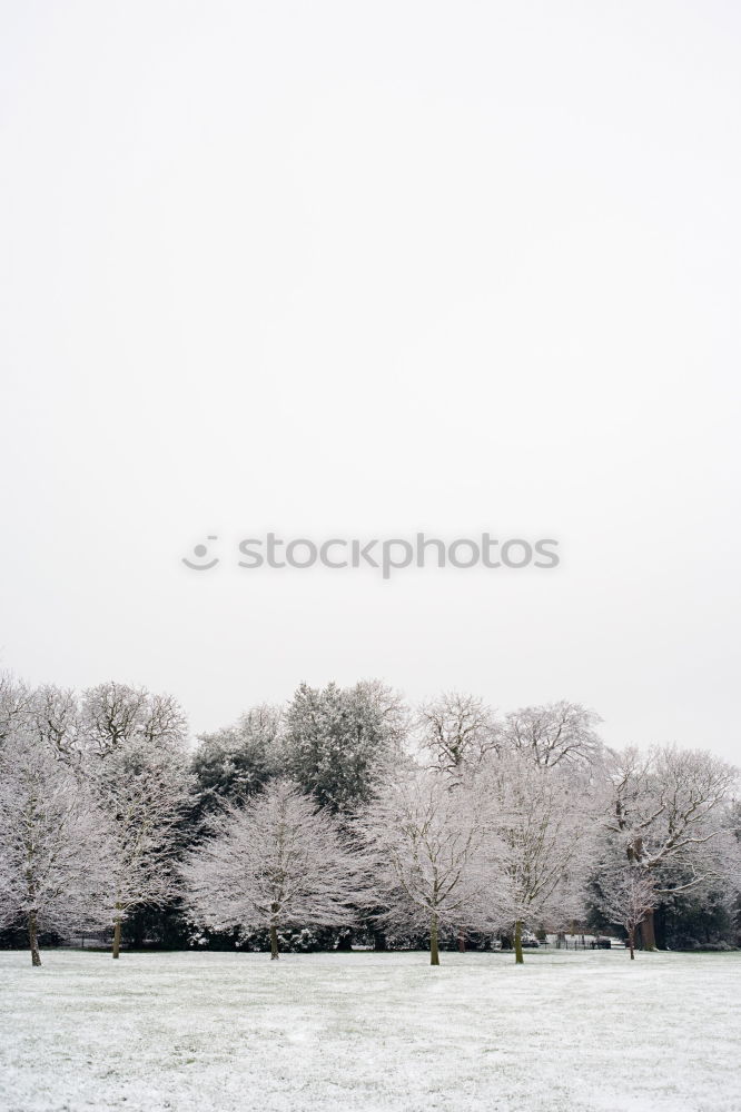 Similar – Image, Stock Photo winter Environment Nature