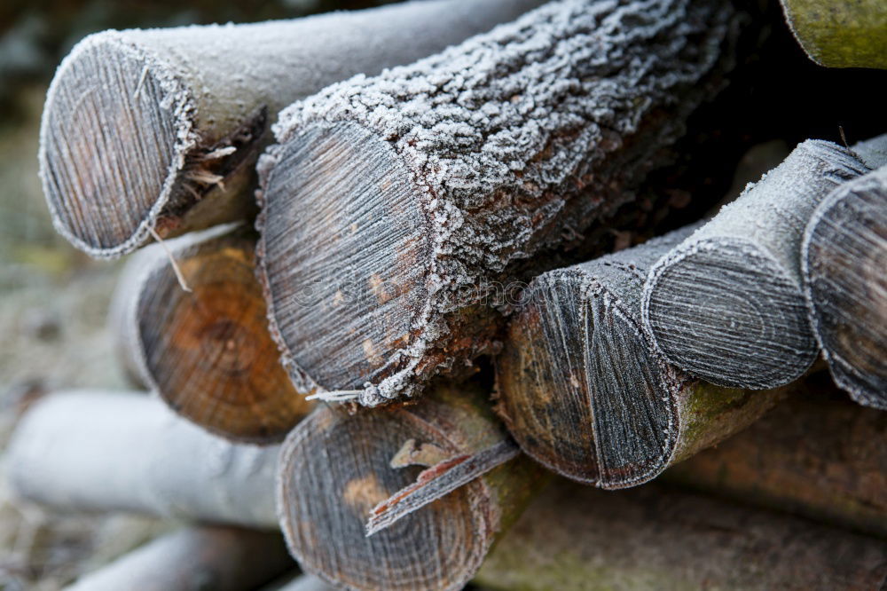 Similar – icy veins Environment