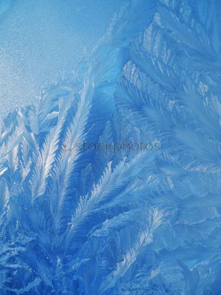 Similar – Ice crystals 01 Winter