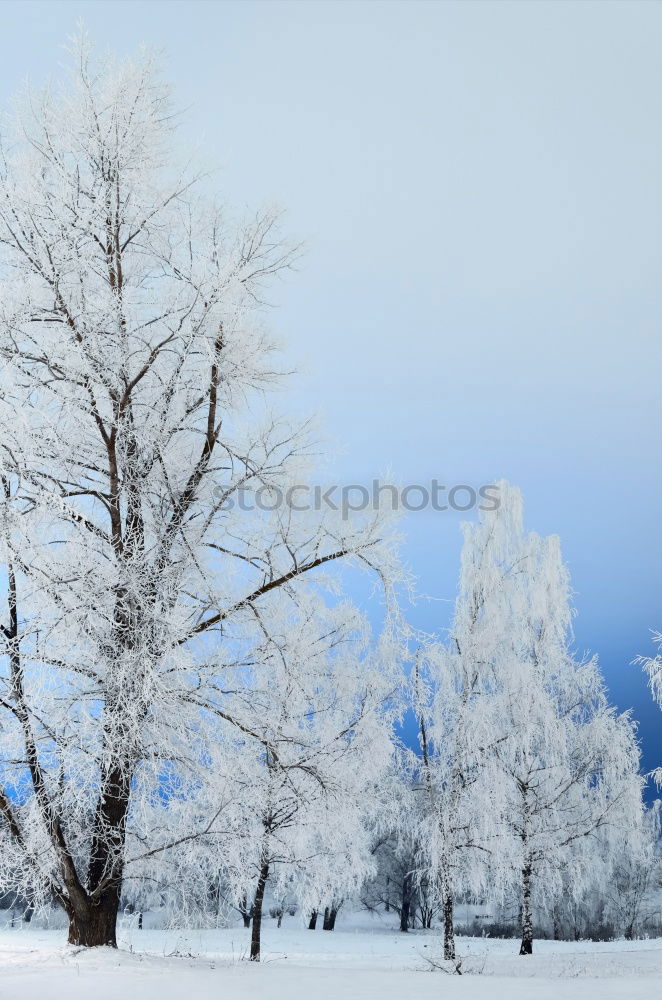 Similar – Image, Stock Photo hibernation Lake Water