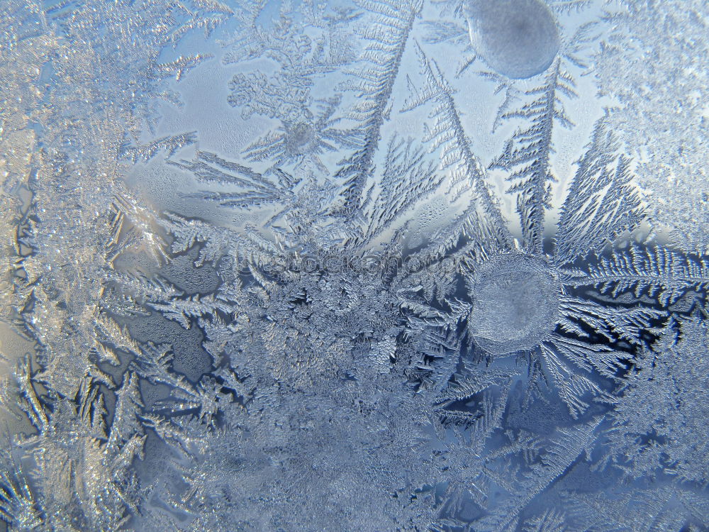 Similar – blauweißer Gegenlichtwinter