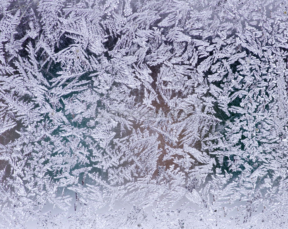 Image, Stock Photo Ice flowers of snow on a blue icy background