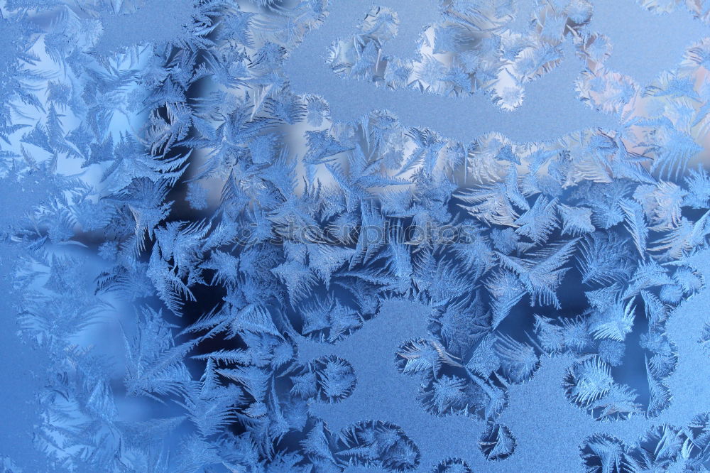 Similar – Image, Stock Photo Ice crystals in sunlight on a glass pane in front of a blue sky