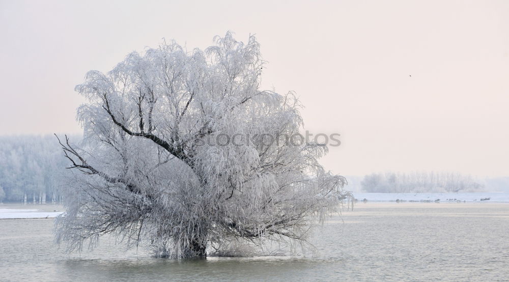 Spätherbst am Fluss