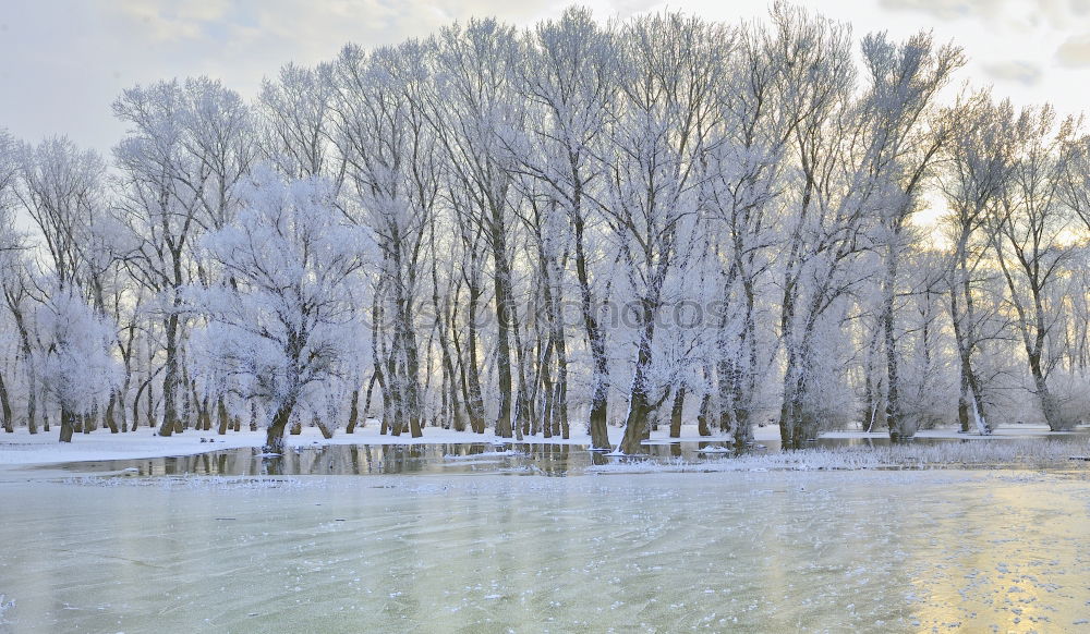 Similar – Riverbank Nature Landscape