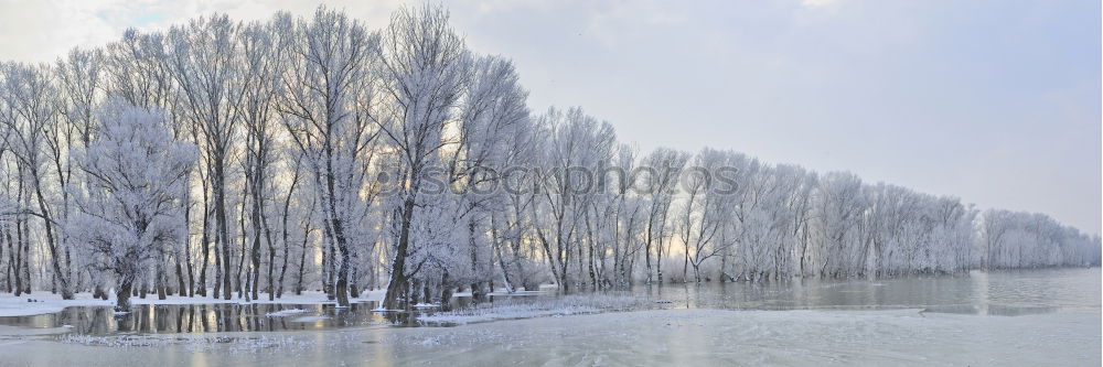 Similar – Riverbank Nature Landscape