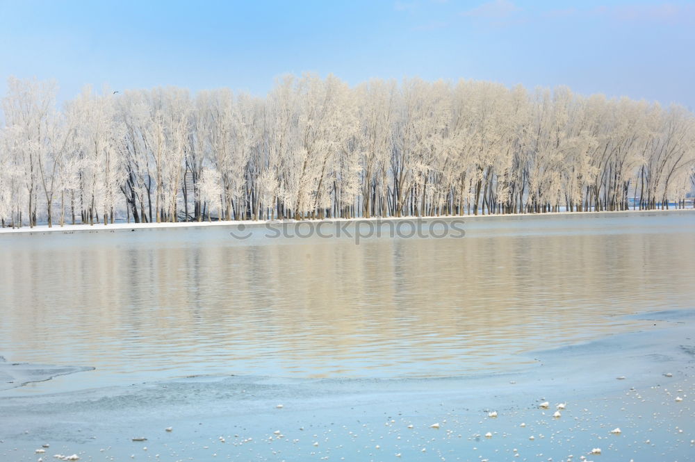 Similar – Riverbank Nature Landscape