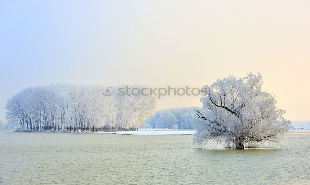 Similar – Riverbank Nature Landscape