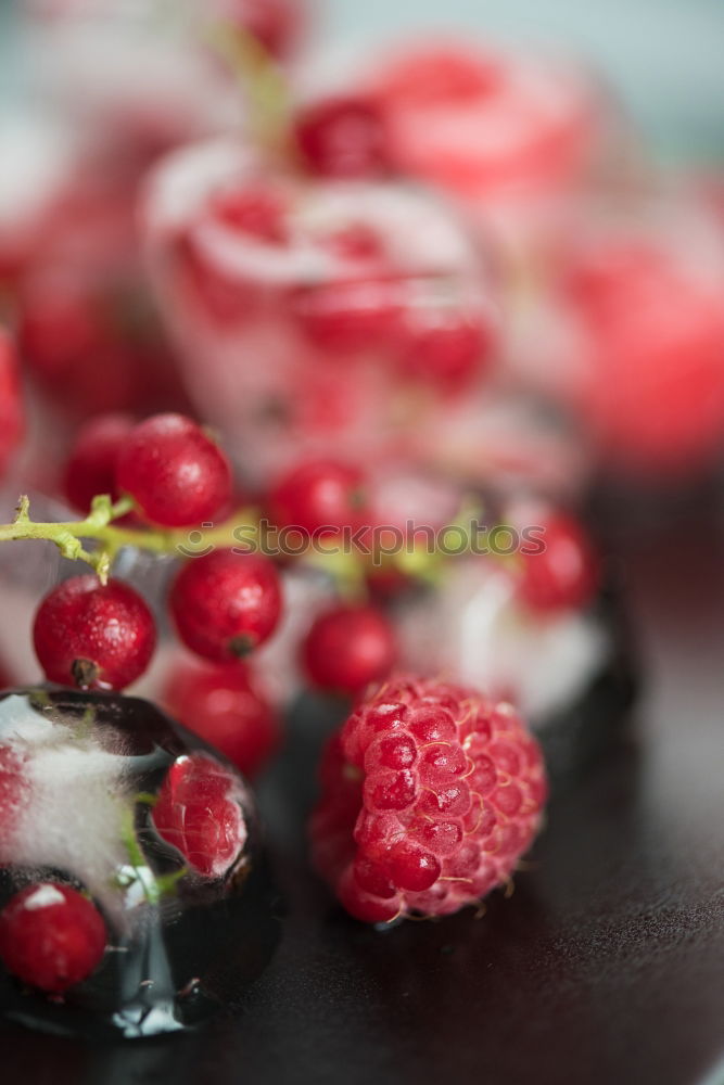 Similar – Fruits and berries popsicle ice . Homemade ice cream in vintage plate on blue kitchen table background with summer flowers, top view. Healthy summer desserts. Frozen juices on sticks. Vegan ice