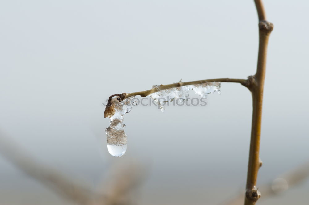 Similar – Image, Stock Photo icy Environment Nature