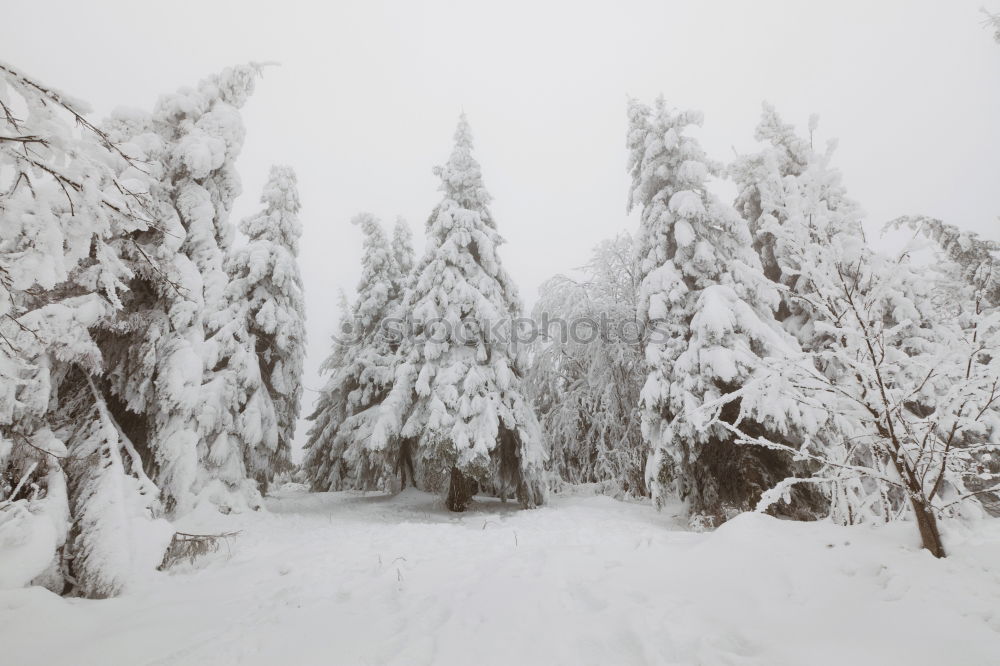 Similar – lappish cold Environment