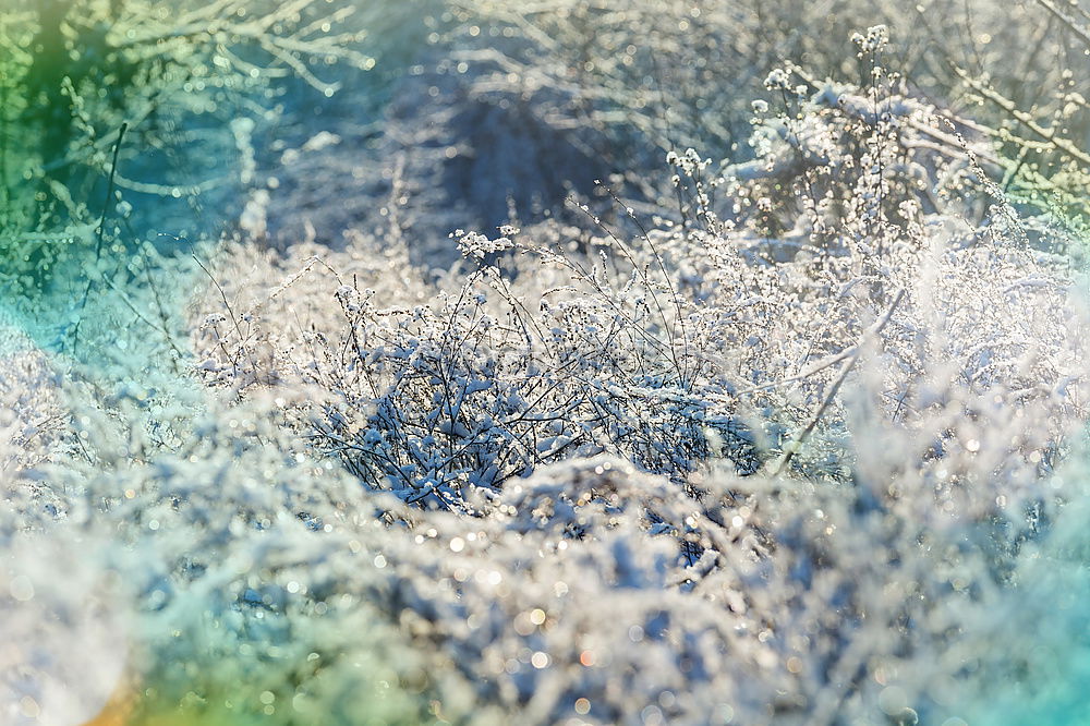 Similar – Image, Stock Photo ice age Winter Ice Frost