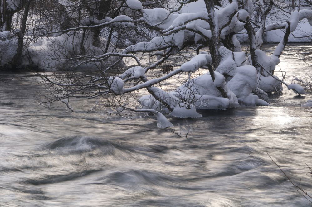 Similar – Image, Stock Photo Silent river in winter sleep