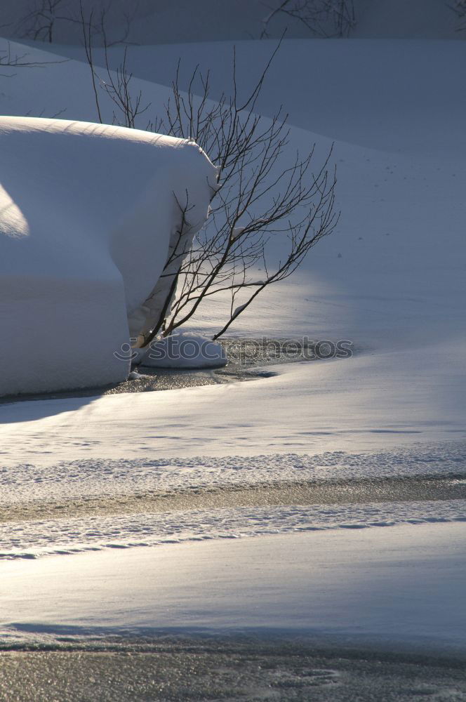 Similar – Image, Stock Photo EVERY DAMN MORNING Winter