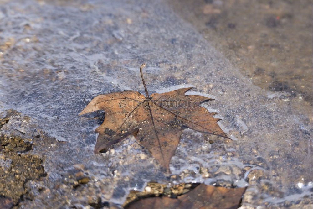 klebt ein blatt an der seite