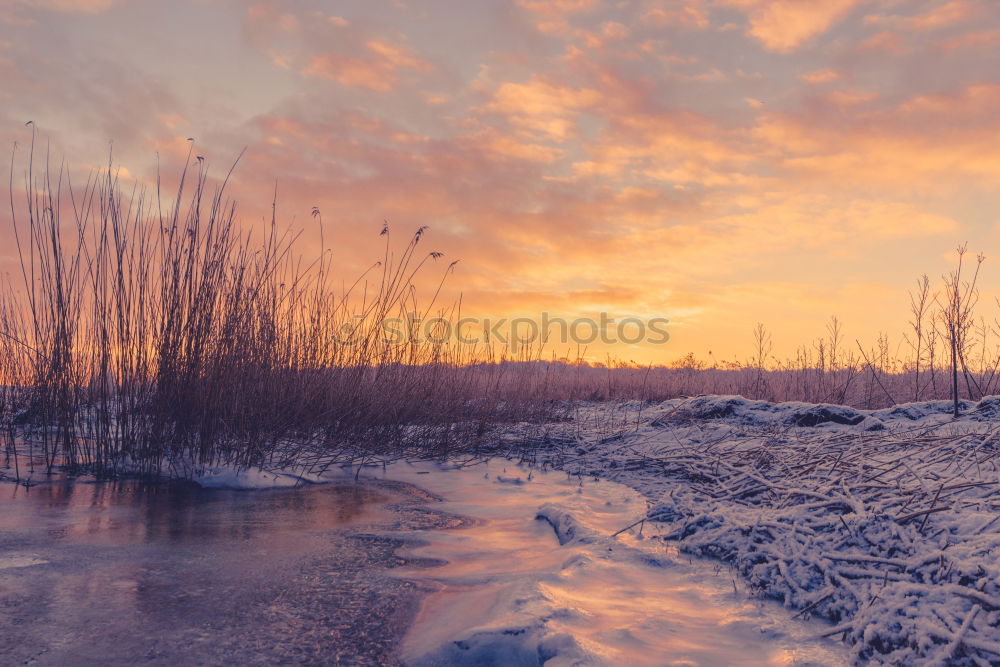 Similar – Image, Stock Photo View over the Warnow to Rostock in winter