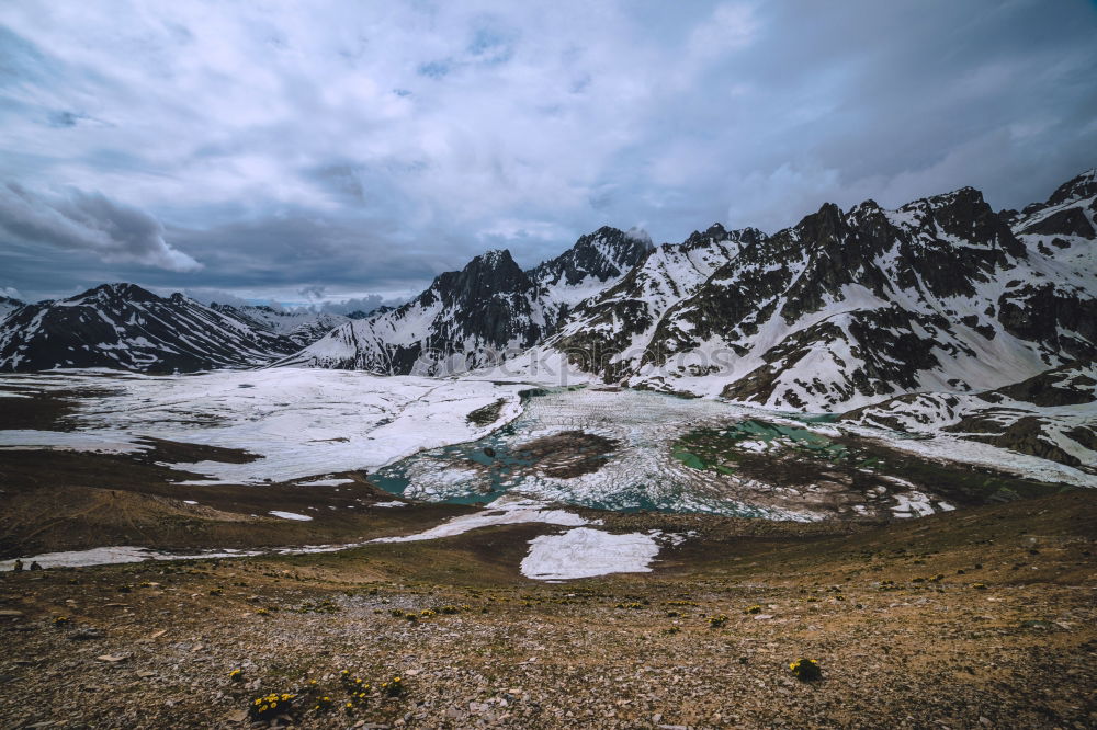 Similar – There’s a cow in front of the mountain.