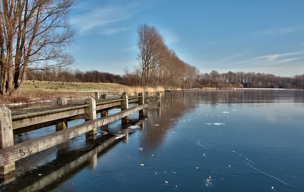 Similar – Elbe banks in Dresden