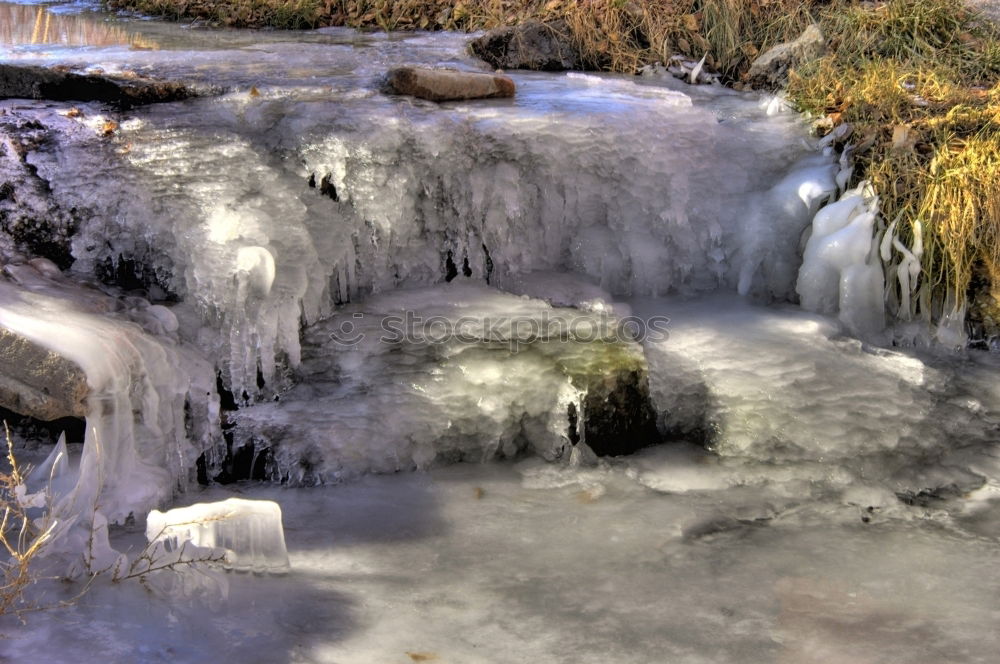 Similar – Image, Stock Photo frost Nature Landscape