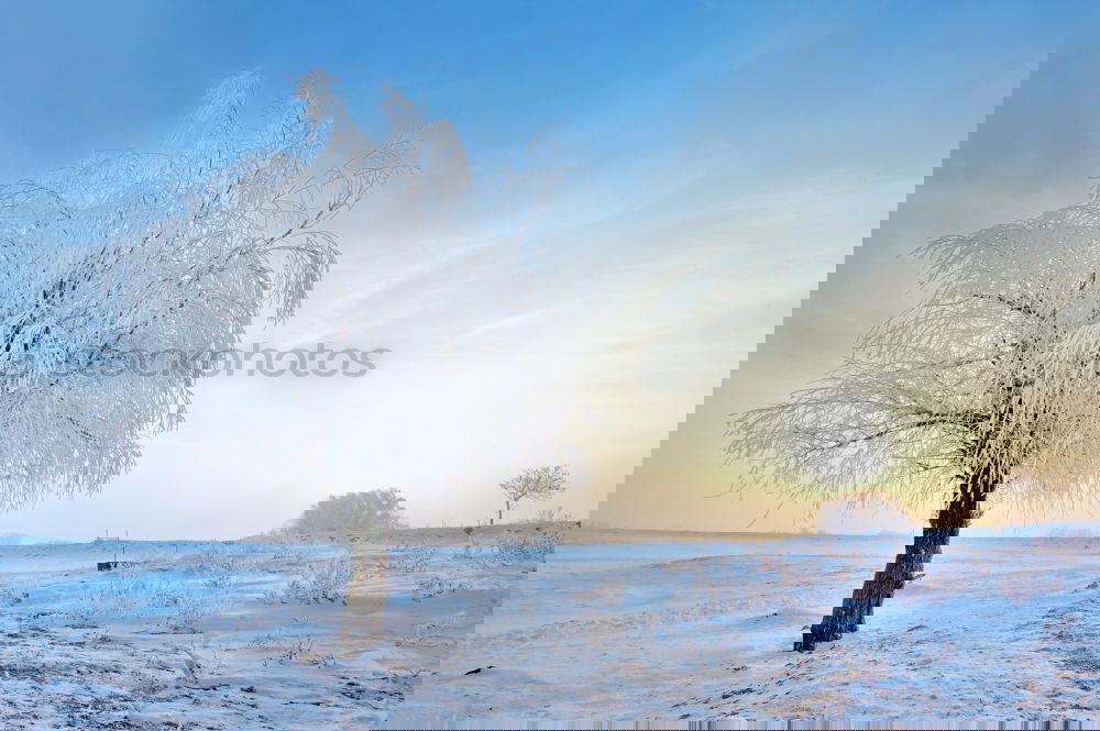 Similar – Image, Stock Photo Snow-covered winter landscape in the Black Forest