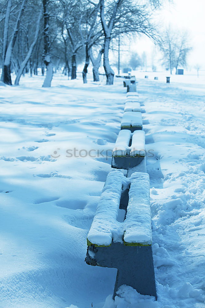 Similar – Image, Stock Photo winter sun. Trip Winter